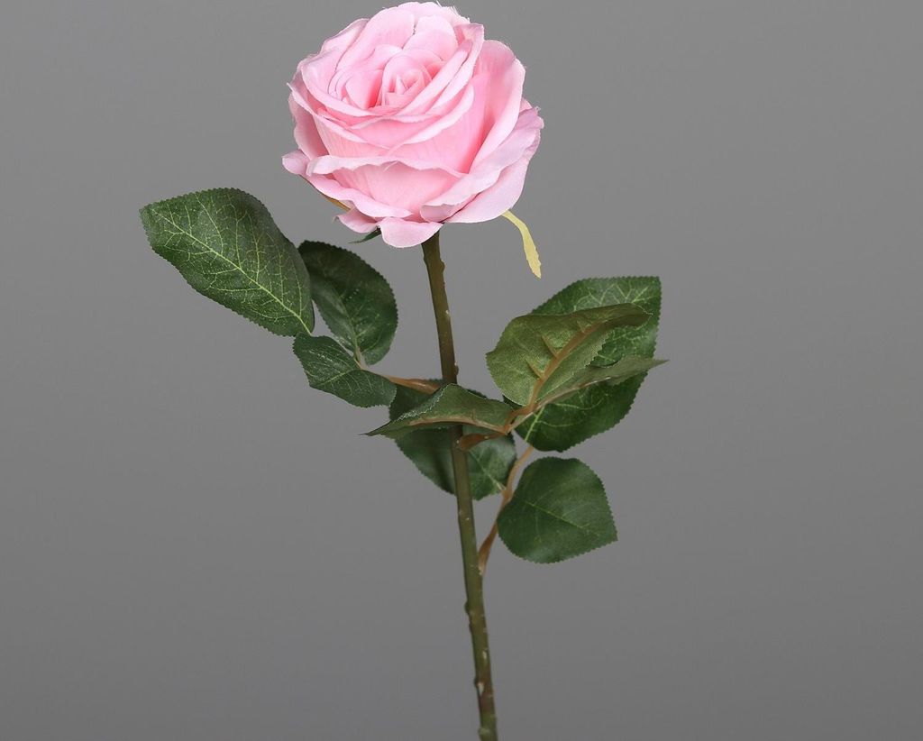 künstliche Rose mit Blättern H. 48cm rose rosa DPI Kunstblumen