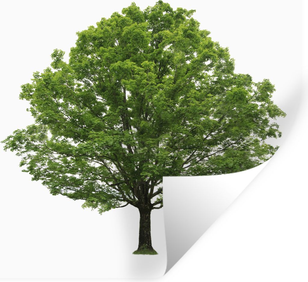 MuchoWow - Repositionierbar - Wasser abweisend