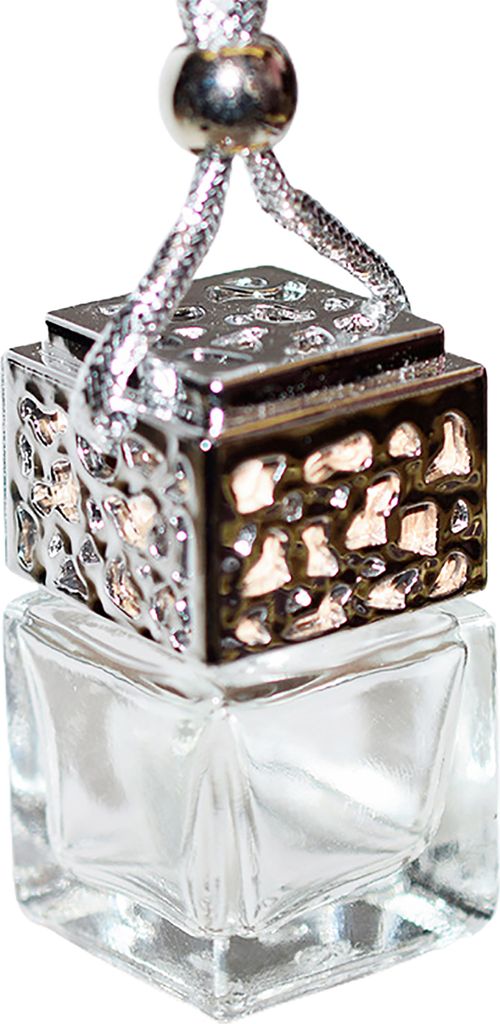 Perfume Bottle Portable Multifunctional Glass Essential Oils Diffuser Ornament For Travel-Silber