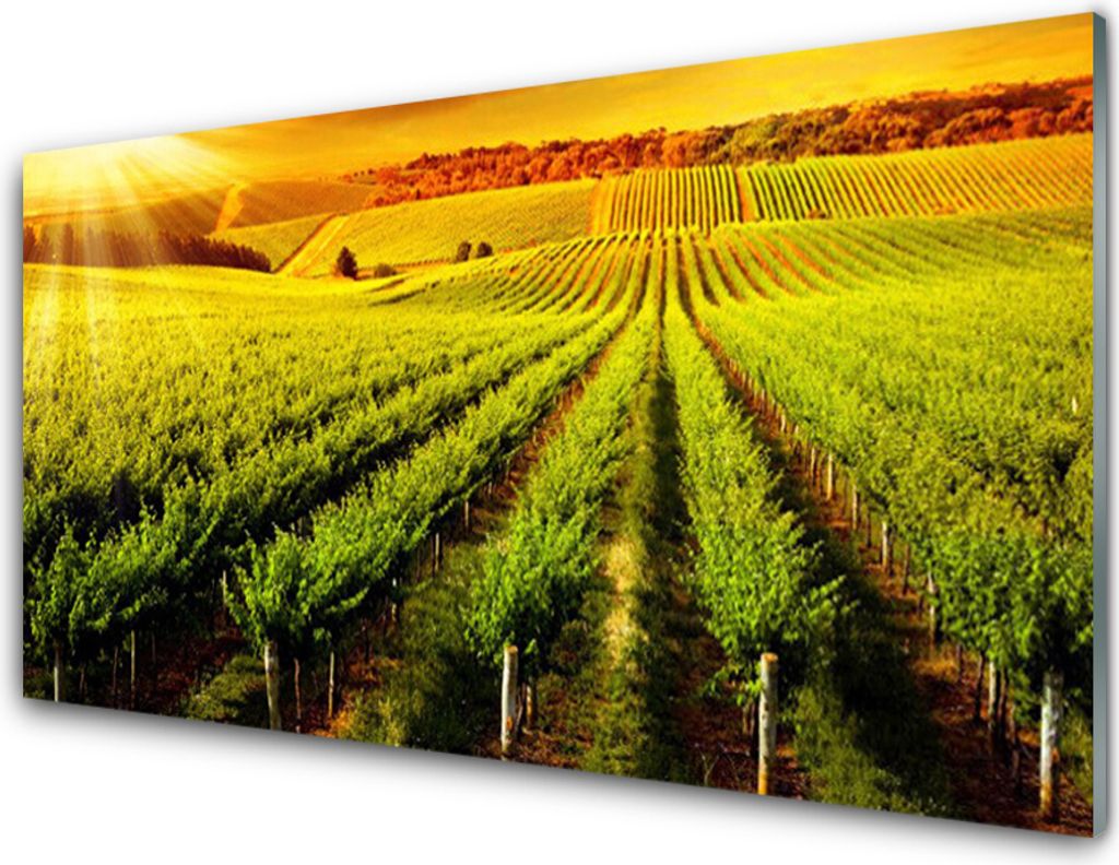 Acrylglasbilder 100x50 Wandbild Druck Acker Natur