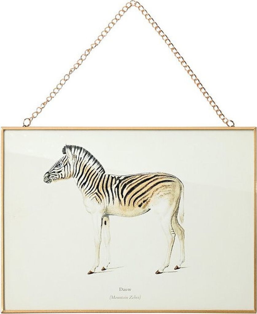 Glasbild Zebra weiß 30x21cm Wandbild mit Goldrand