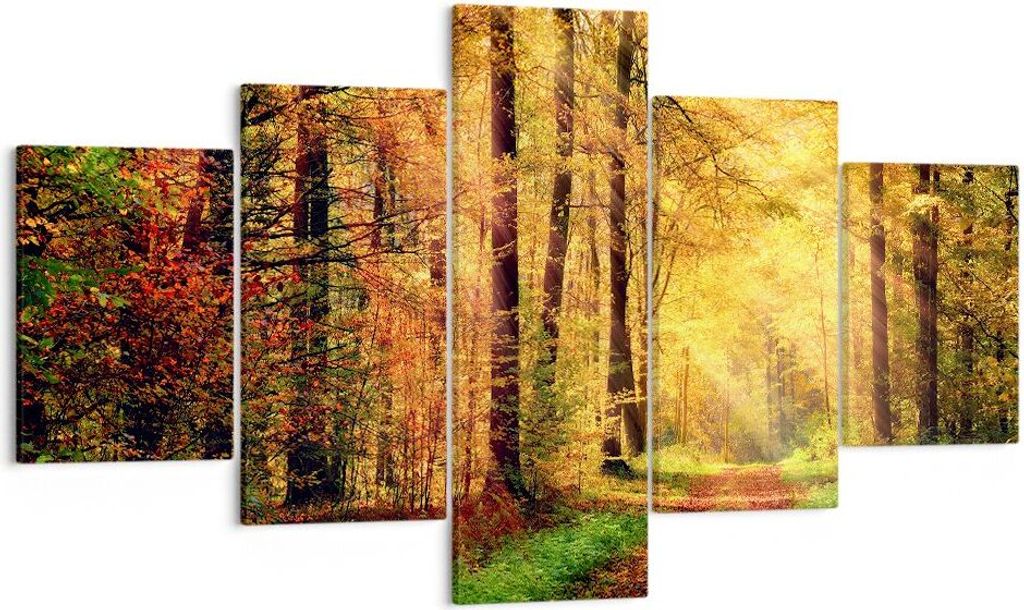 Bild auf Leinwand - Leinwandbild - Wald Baum Natur - Produktbild 