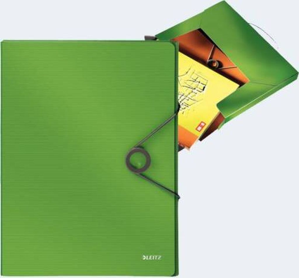 Esselte Leitz 45681050 - A4 - Polypropylen (PP) - Grün - 250 Blätter - 80 g/m² - 250 mm