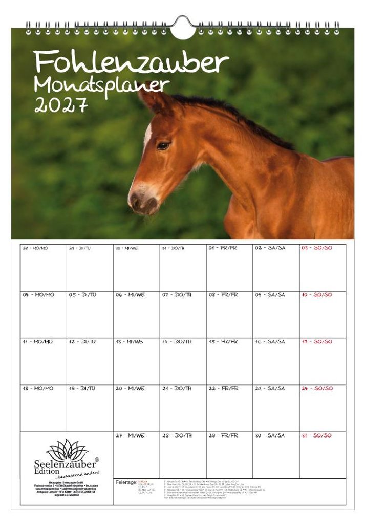 Fohlenzauber Planer DIN A3 Kalender für 2027 Pferde und Fohlen - Seelenzauber