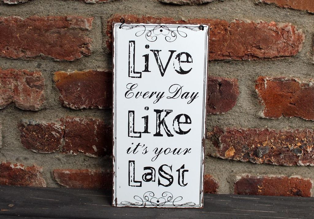 Shabby Blechschild Live every day