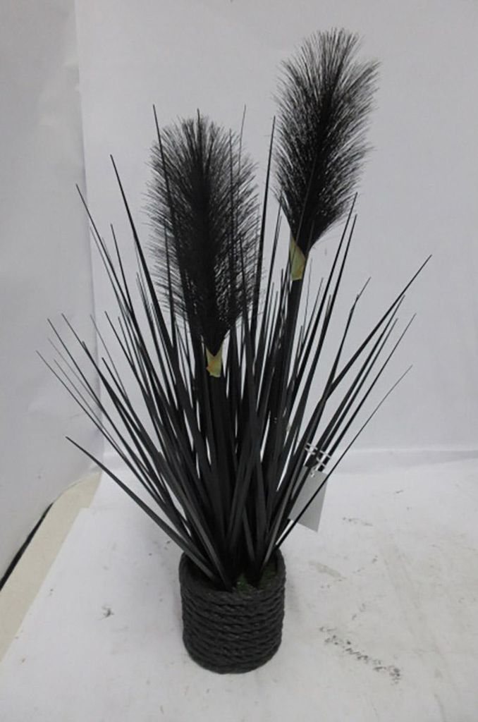 Gilde Pampasgras im Topf H. 40 cm 57339 Produktbild 
