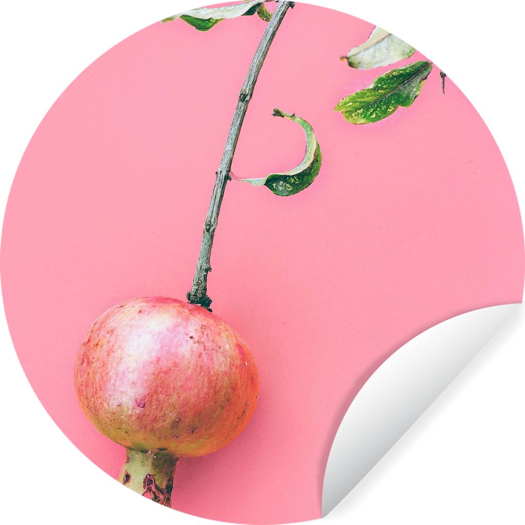 MuchoWow Runde Wandtattoo - Wandsticker Tapete Aufkleber Pflanzen - Sommer - Rosa Ø 30 cm Selbstklebend und Repositionierbar - Wandaufkleber - K...