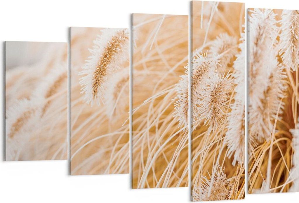 Bild auf Leinwand - Leinwandbild - 5 Teile - Gras Boho Licht - 150x100cm - Wand Bild - Wanddeko - Wandbilder - Leinwanddruck - Bilder - Wanddekorat...