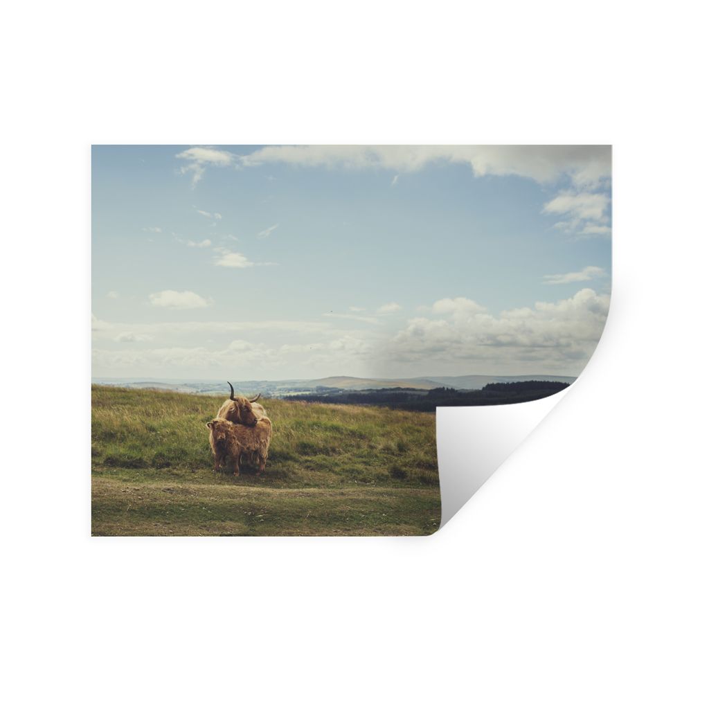 MuchoWow Wandtattoo Wandsticker Wandaufkleber Schottische Highlander - Gras - Wolken - Tiere 80x60 cm Selbstklebend und Repositionierbar - Falten...