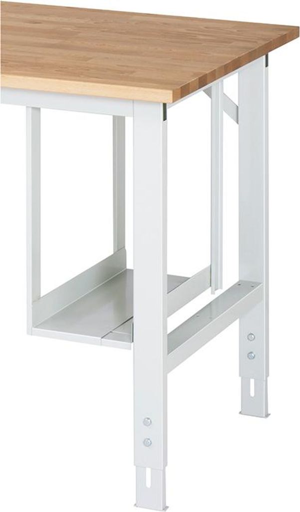 Rau CPU-Halter, BxTxH 150-230x500x500mm