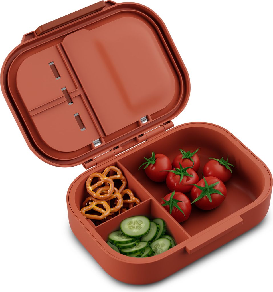 Schmatzfatz Lunchbox, Unterteilte Brotdose für Erwachsene & Produktbild 