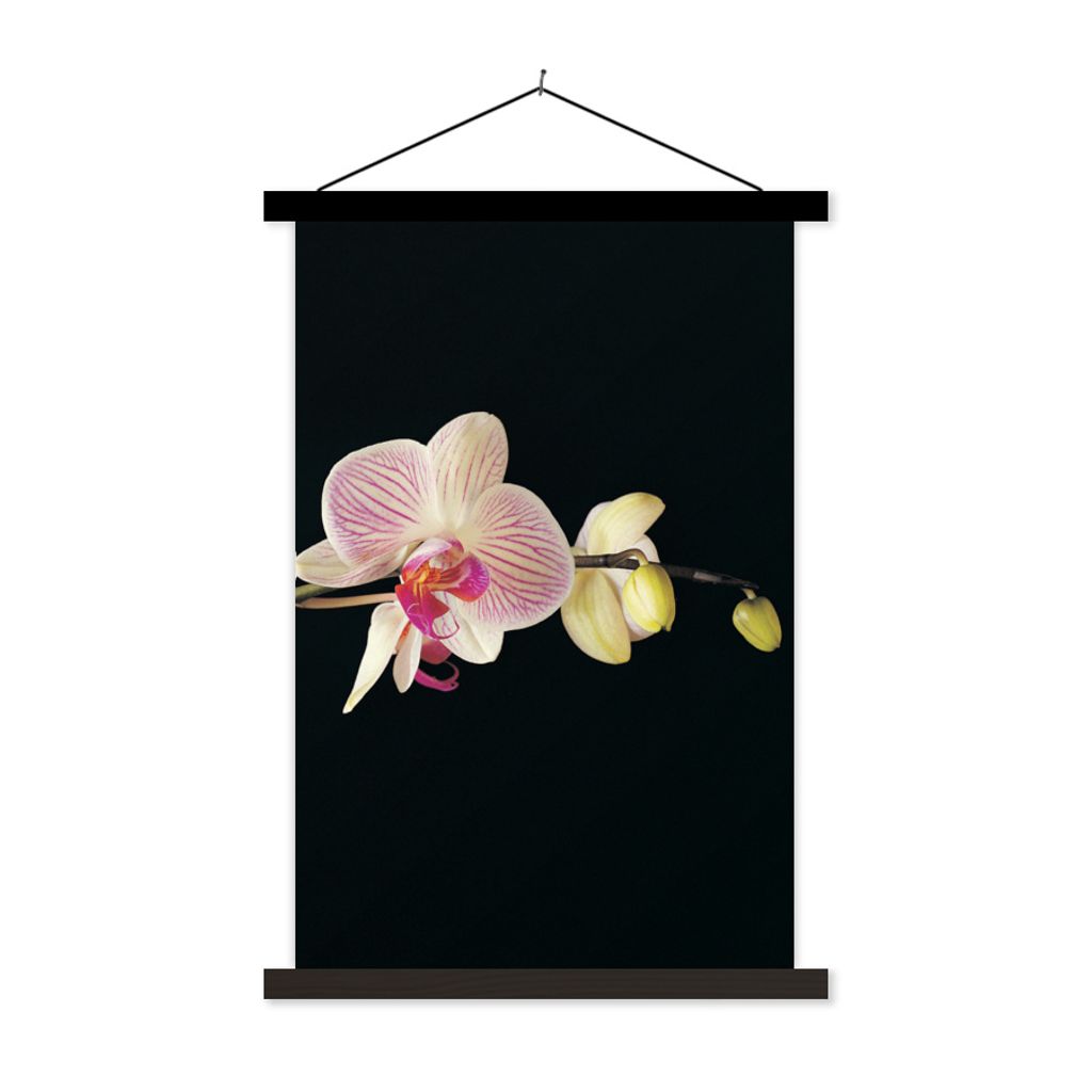 MuchoWow Textilposter Orchidee - Blumen - Schwarz - Rosa - Knöpfe 120x180 cm mit schwarzem Rahmen - Fotos