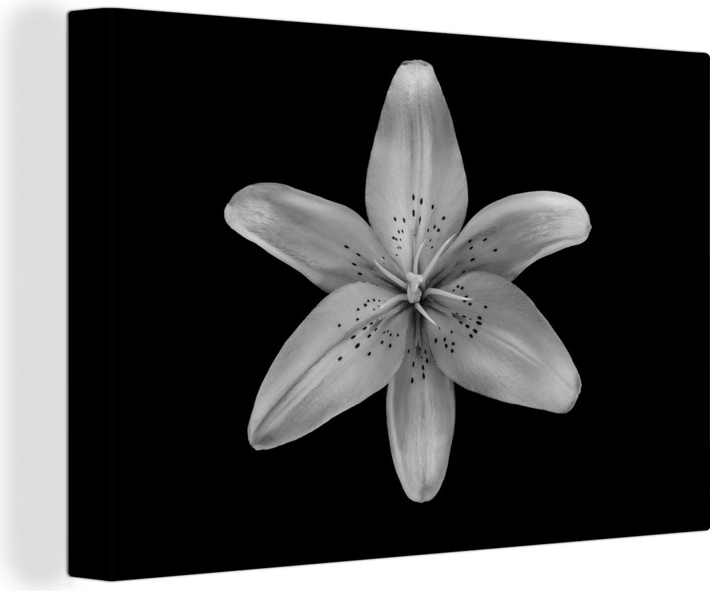 OneMillionCanvasses - Leinwandbilder - 140x90 cm, Eine Lilienblüte auf schwarzem Hintergrund - schwarz und weiß, Wandbilder Kunstdruck Wanddeko...