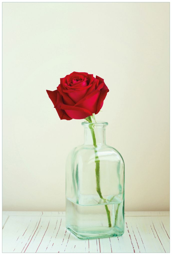 Wallario Wandbild aus Acryl, 90 x 60 cm, freischwebende Optik - Rote Rose in Glasvase