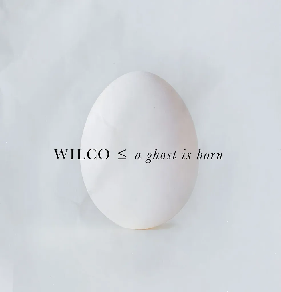 Musique Wilco A Ghost Is Born Double CD pour Collectionneur de Rock