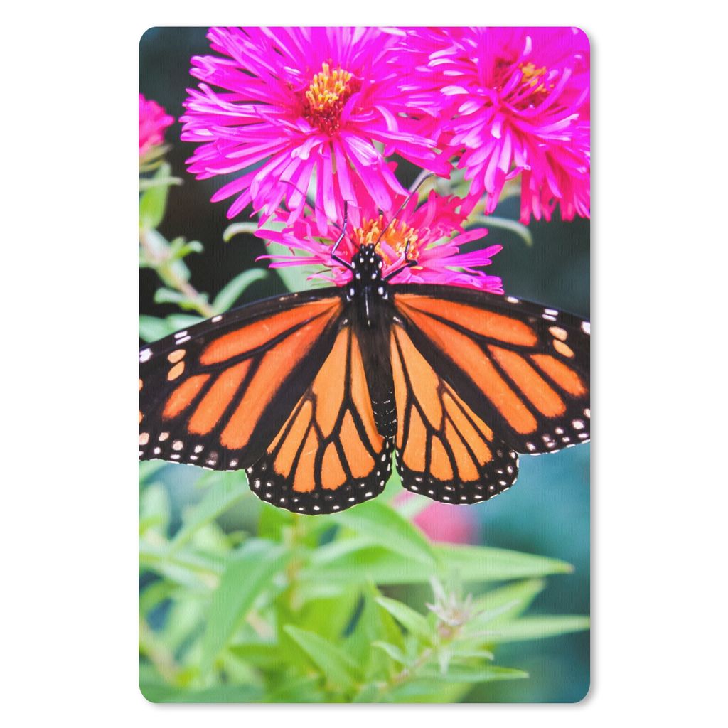 MuchoWow Mauspad Mousepad Schmetterling - Botanisch - Blume 40x60 cm - Mousepads - Maus Mat - Pad - Mausunterlage - Schreibtisch Accesoire