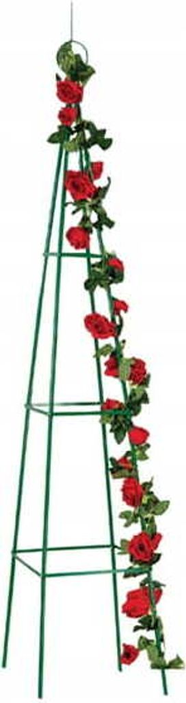 Unterstützung für Kletterpflanzen 40x200cm Metallständer Obeliks Garten grün