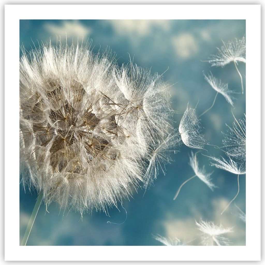 Poster - Poster ohne Rahmen - Baby Sommer Pflanze - 60x60 cm - Wand Bild - Wanddeko - Wandbilder - Kunstposter - Wandposter - Bilder - Kunstdruck -...