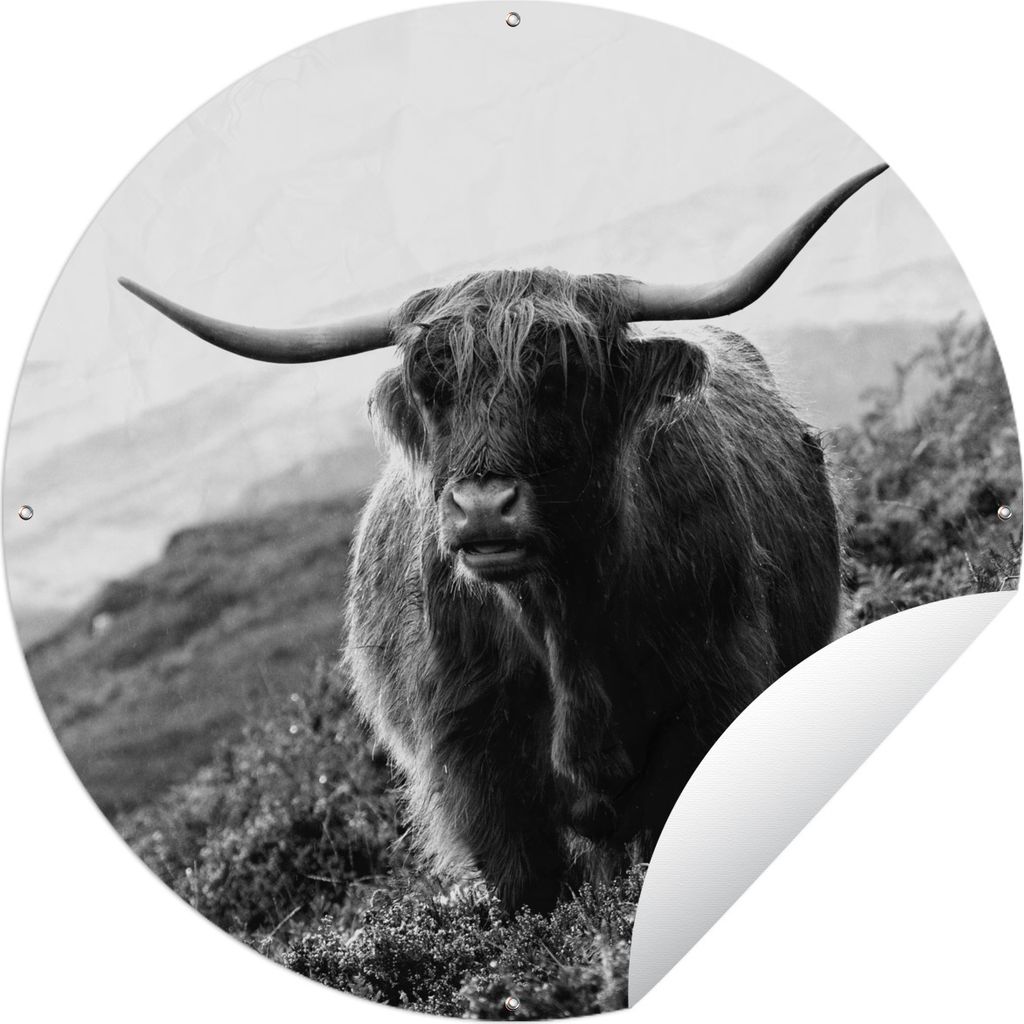 MuchoWow Gartenposter Outdoor-Poster Rund Schottischer Highlander auf der Isle of Skye - schwarz und weiß Ø 120 cm Gartendeko Rundes Poster dra...