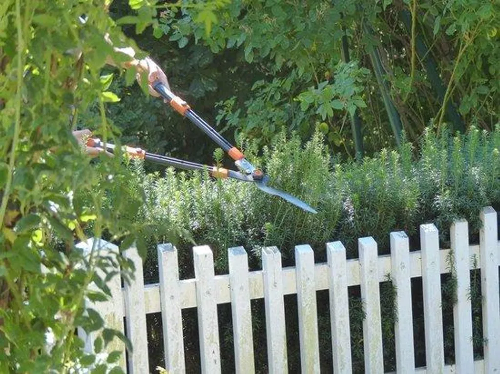 Sécateur réglable à lames multiples et manche extensible 80 cm pro
