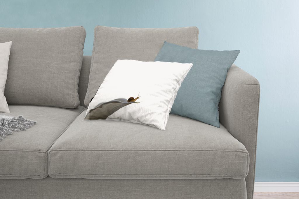 MuchoWow Zierkissen Sofakissen Wohnzimmer Dekokissen 60x40 cm Schnecke - Lilie - Grau - Kopfkissen - Polster mit Foto