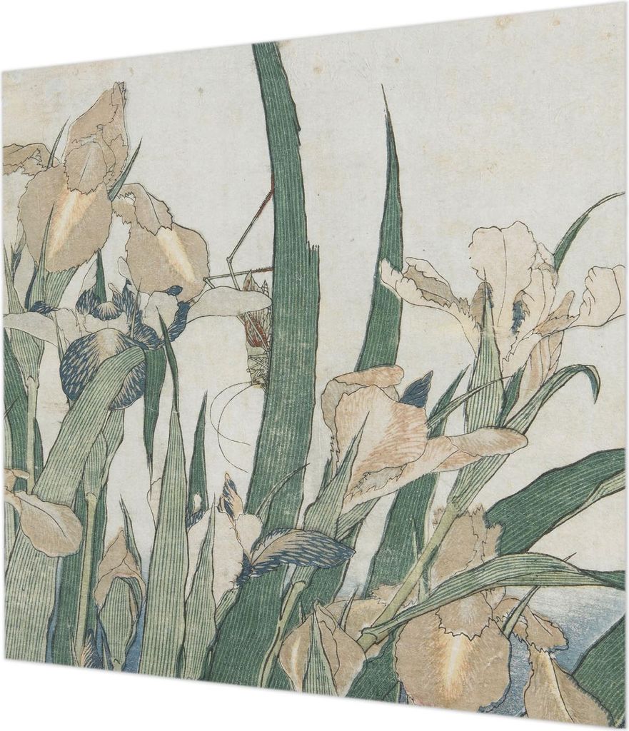 Wandtapete - Dekorative Tapete für Wohnzimmer - Tapetenfolie für Wanddekoration - 250x250 cm - Zarte Schwertlilien