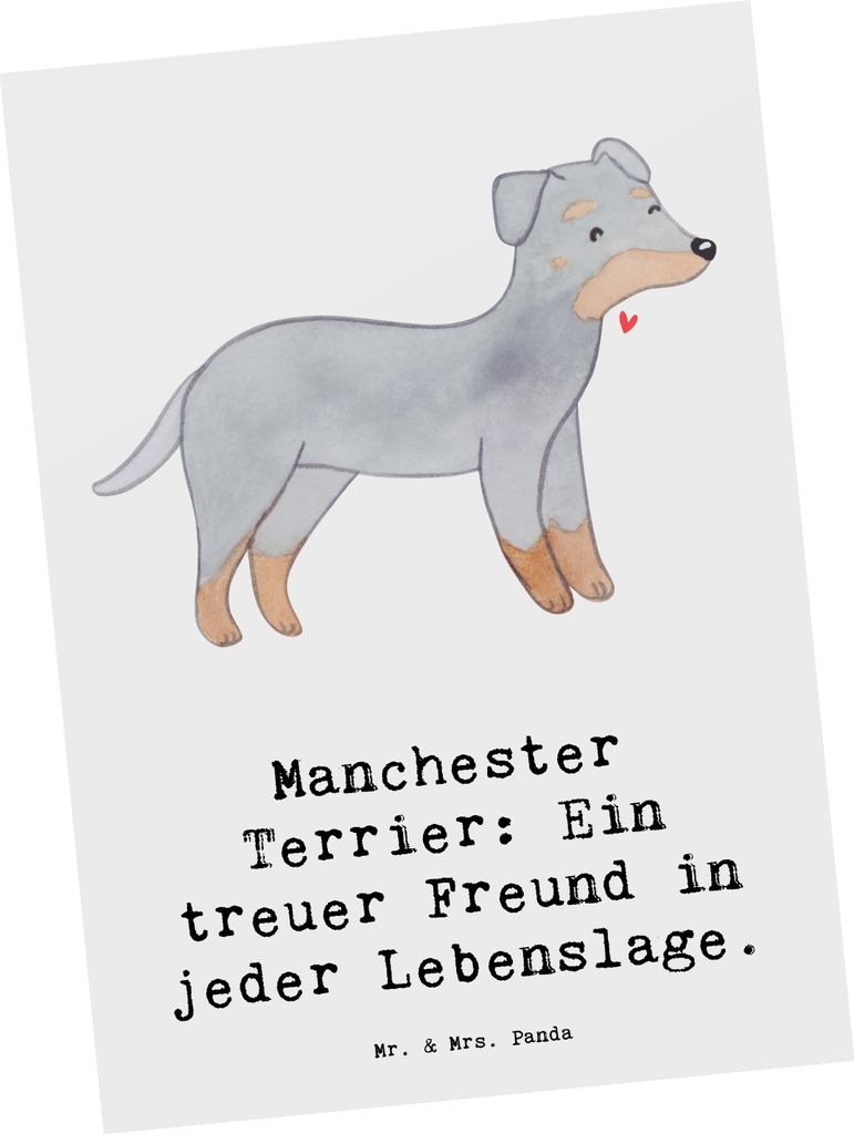 Mr. & Mrs. Panda Postkarte Manchester Terrier Freundschaft - Weiß - Geschenk, Ansichtskarte, loyaler Hund, intelligenter, Postkarten, treuer Freun...