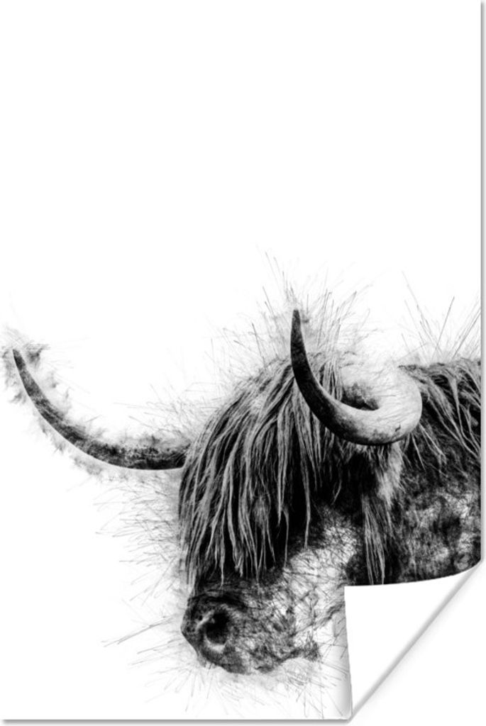 MuchoWow Poster Schottisches Hochlandrind - Schwarz - Weiß - Abstrakt 60x90 cm - Wanddekoration