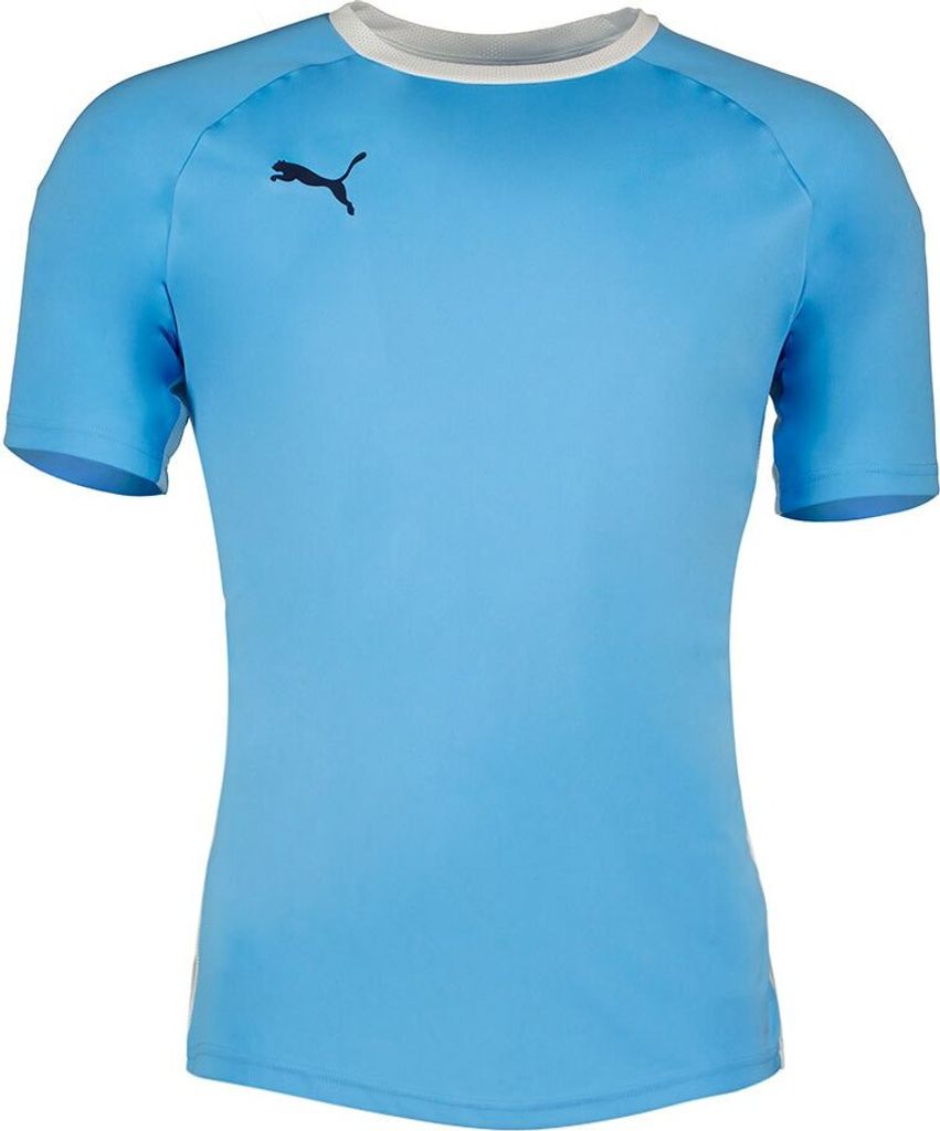 Puma Teamliga Kurzarm-t-shirt Blau M Mann Blau M