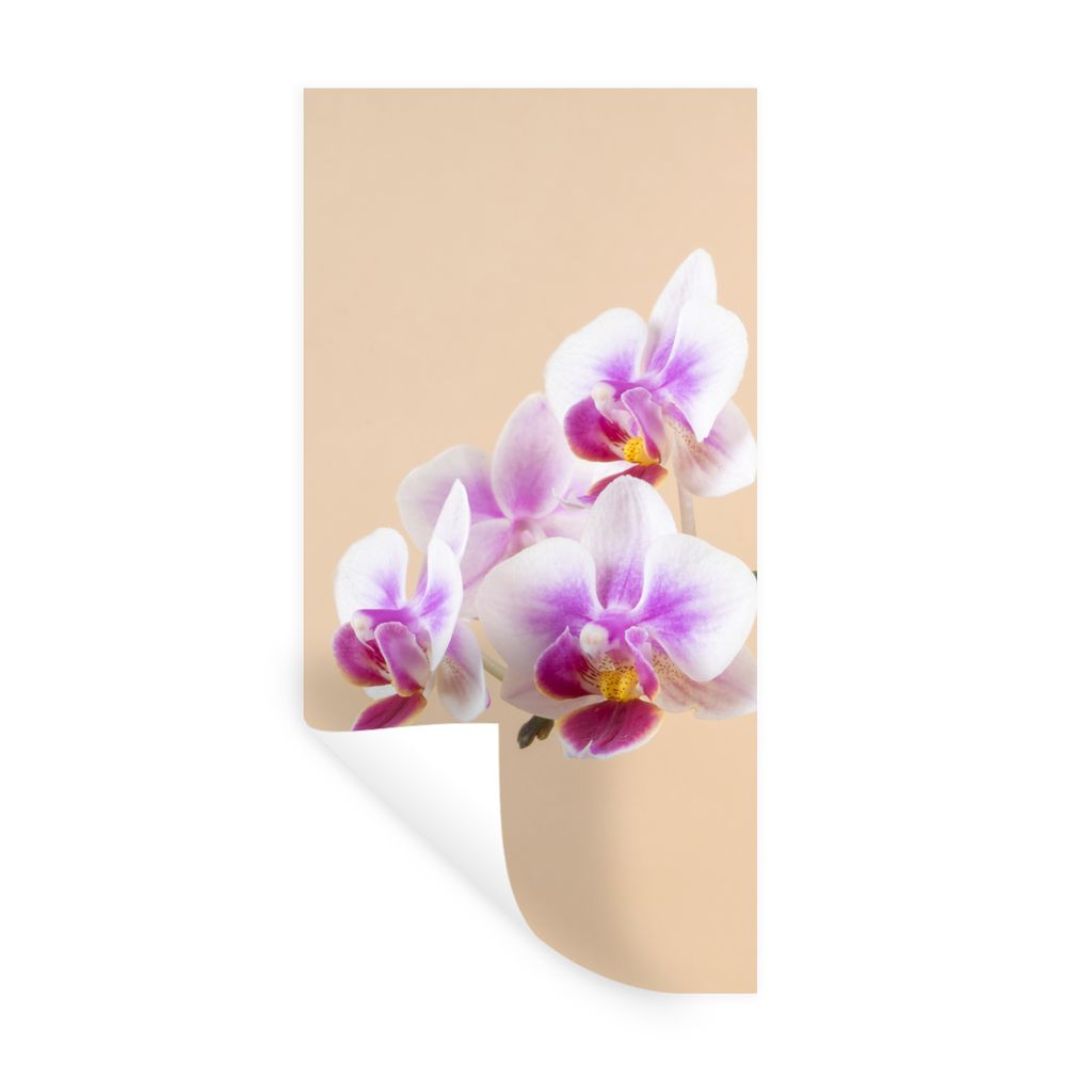 MuchoWow Wandtattoo Wandsticker Wandaufkleber Weiße und rosa Orchidee 80x160 cm Selbstklebend und Repositionierbar - Sticker - Dekorfolie
