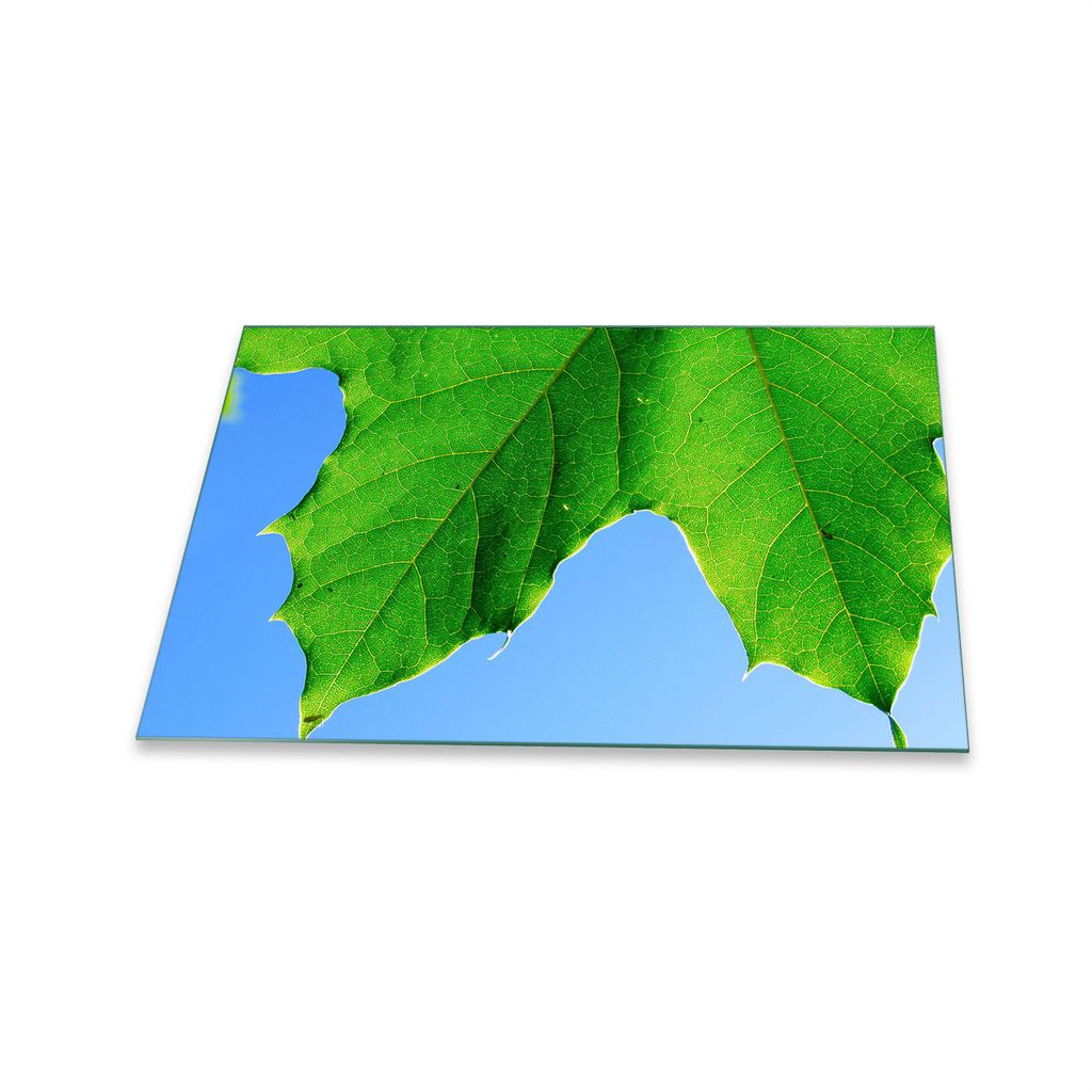 Herdabdeckplatte Glaskeramik 1 Teilig 80x52 Natur Grün Abdeckung Glas Spritzschutz