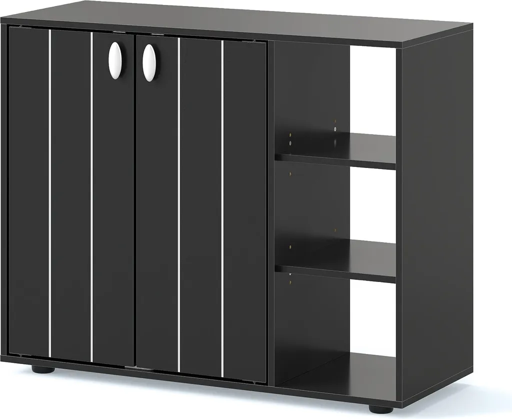 Rangement Chaussures pour Entrée et Salon Gain de Place Noir 80x31 cm