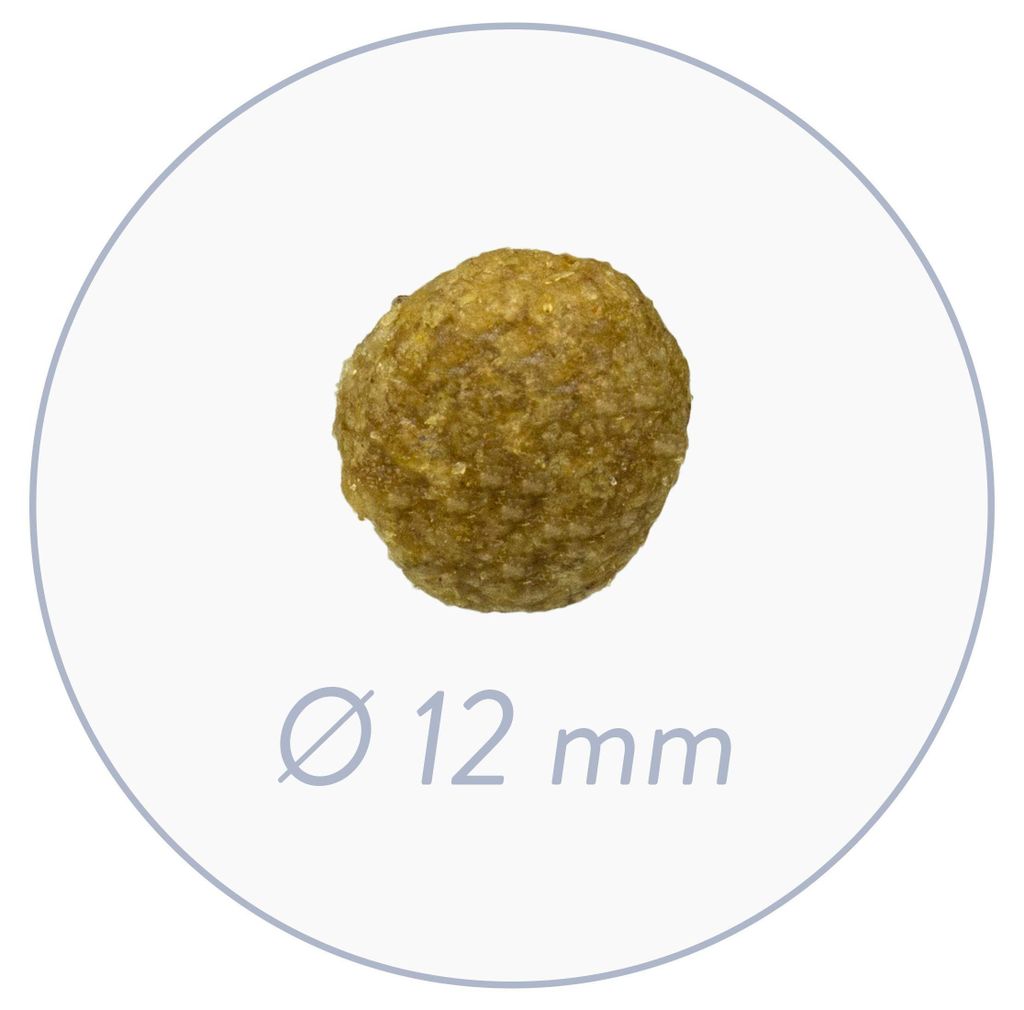 bosch Senior Age & Weight Hundetrockenfutter 11.5kg für Produktbild 
