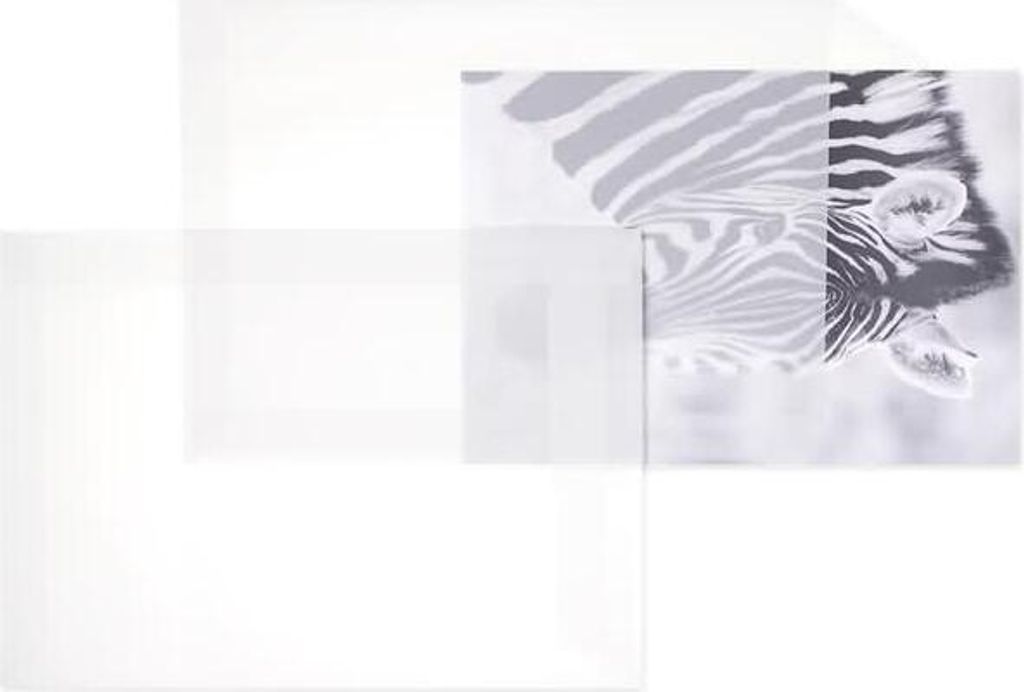 Versandtaschen 195x317mm 110g/qm haftklebend VE=100 Stück transparent-weiß