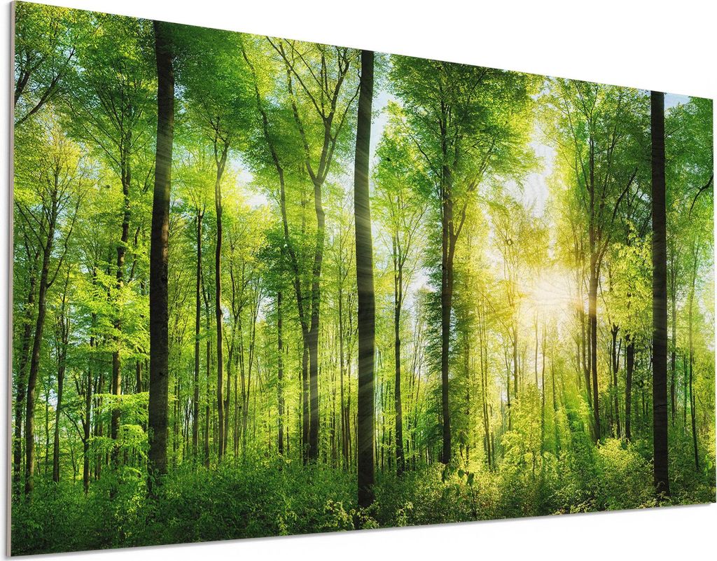 DEQORI Holzbild 100x50 cm 'Sonne durchbricht Wald' Bild auf Holz Wandbild Kunstdruck