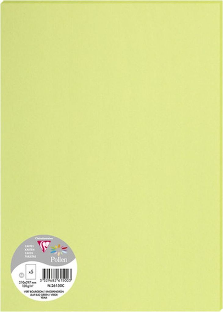 Clairefontaine 26150C Pollen DIN A4 120 g, knospengrün, 5 Produktbild 