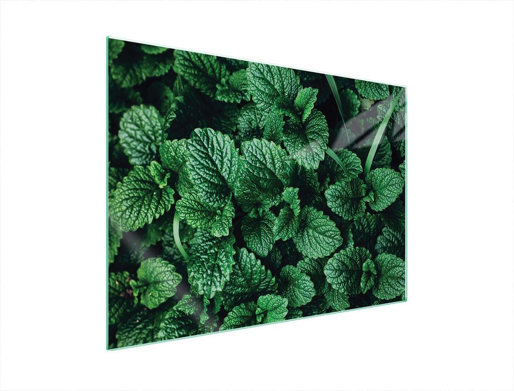 Glasschutzplatte Für Herd 70X52 Melisa