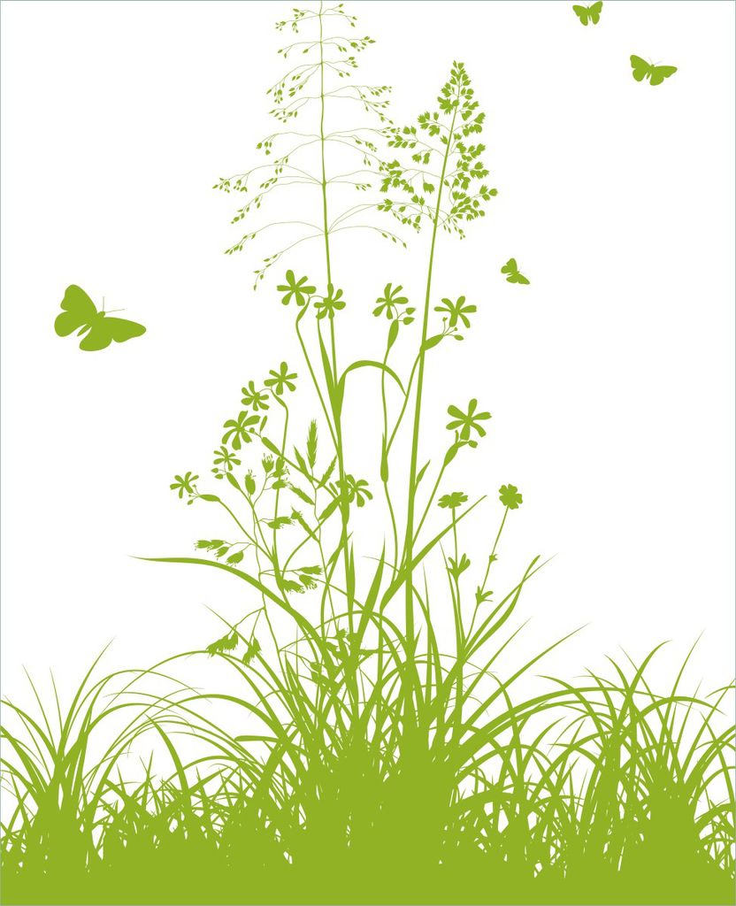 Wallario Magnet für Kühlschrank / Geschirrspüler, magnetisch haftende Folie - 60 x 80 cm, Motiv: Grüne Sommerwiese
