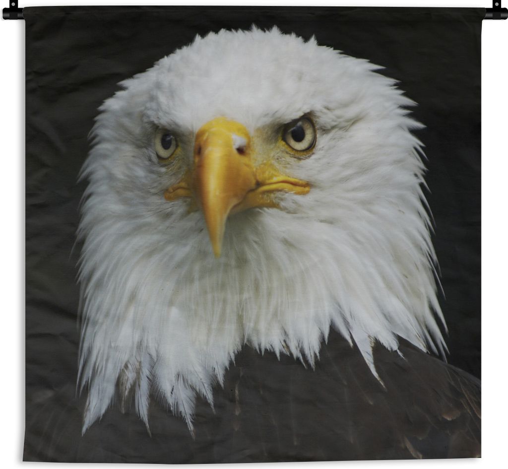 MuchoWow Wandteppich Wandbehang Adler - Schwarz - Weiß 120x120 cm Tapisserie Dekoration Wandtuch - Modern - Baumwollgewebe