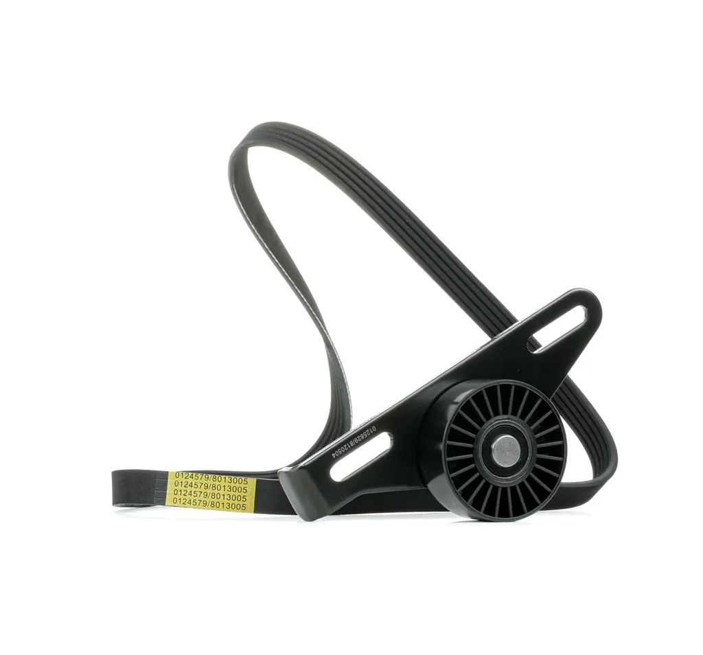Kit Courroie Poly-V Renforcée pour Dacia Sandero et Renault Thalia II