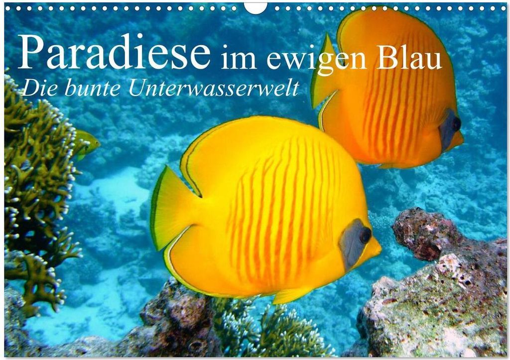 Paradiese im ewigen Blau. Die bunte Unterwasserwelt (Wandkalender 2026 DIN A3 quer), CALVENDO Monatskalender