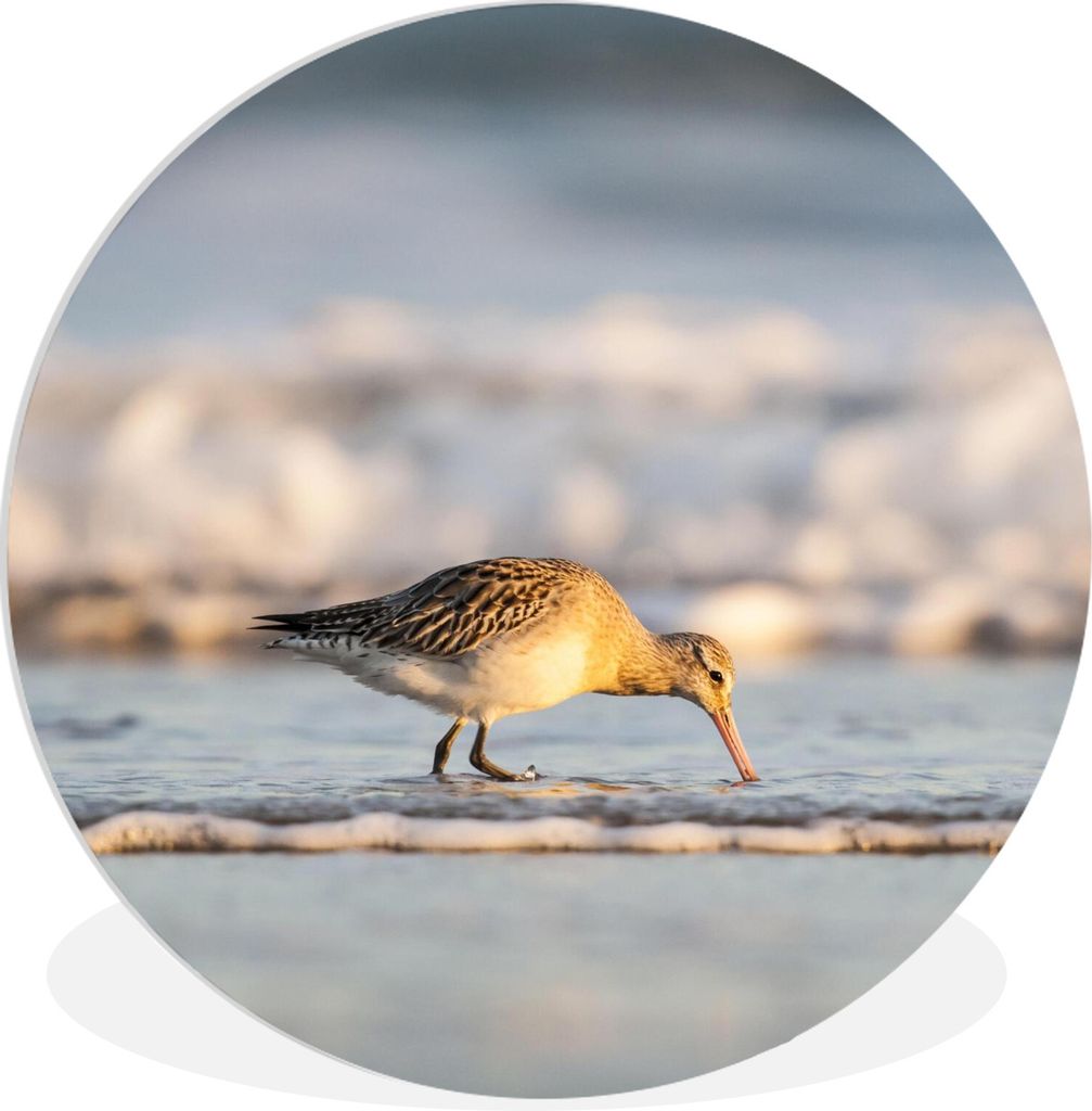 MuchoWow Rundes Wandbild - Runde Bilder Uferschnepfe am rollenden Meer Ø 90 cm Kreis Wanddekoration Kunststoff - Wandkreis - Wandschmuck - Wand-...