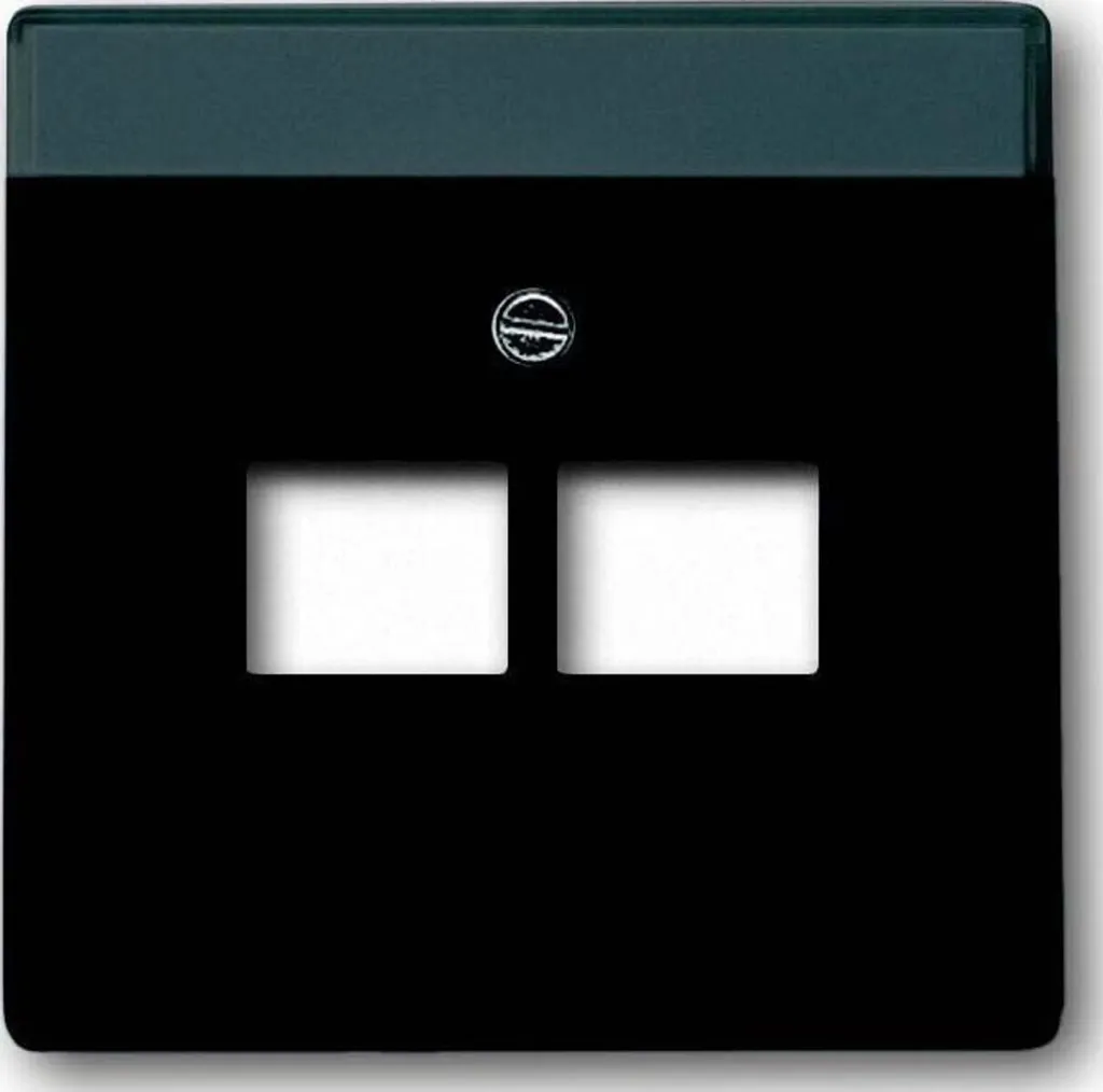 Plastron Double UAE IAE Future Linear Noir Mat Busch-Jaeger 2 Voies