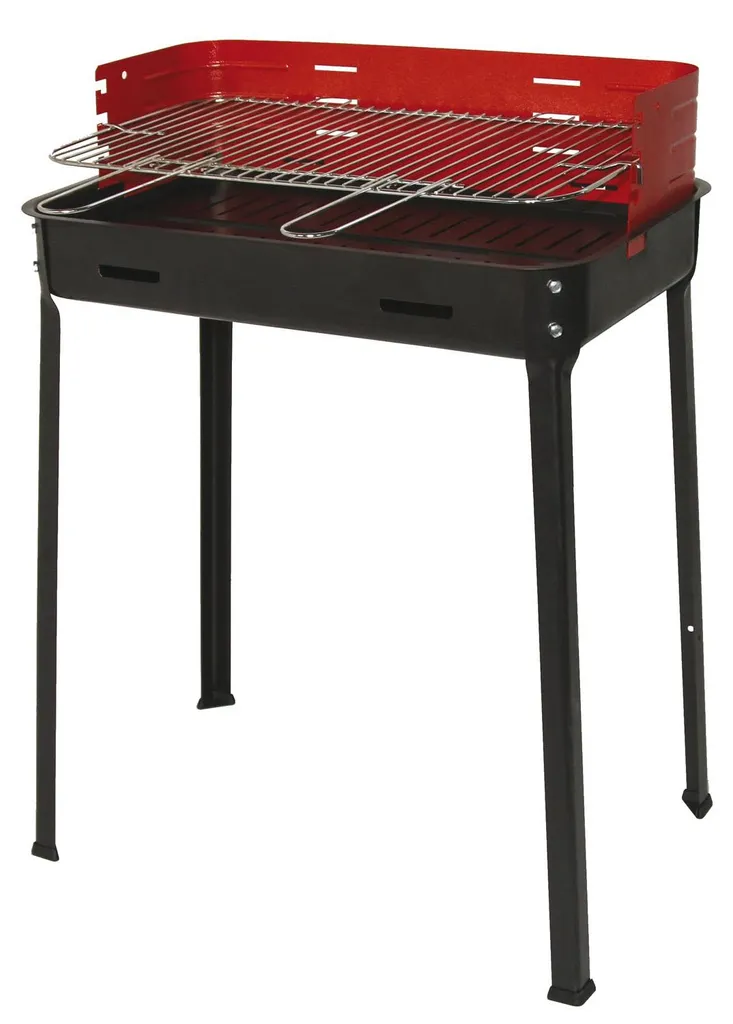 Barbecue charbon de bois 50x35 pour camping et pique-nique Picnic Amigo