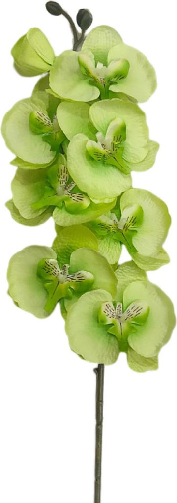 8 Köpfe künstliche Blume Nicht verblüffende Pflege dekorative Nachahmung Phalaenopsis Hochzeit Home Hotel Dekor Dekor-Grün