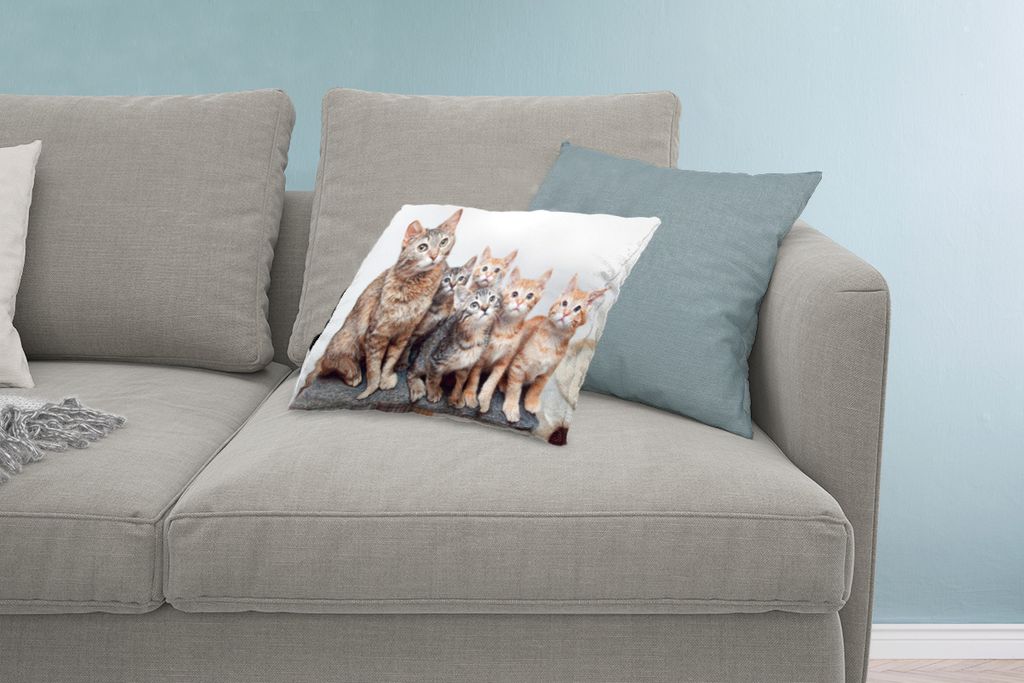 MuchoWow Zierkissen Sofakissen Wohnzimmer Dekokissen 60x40 cm Katze - Kätzchen - Fell - Kopfkissen - Polster mit Foto