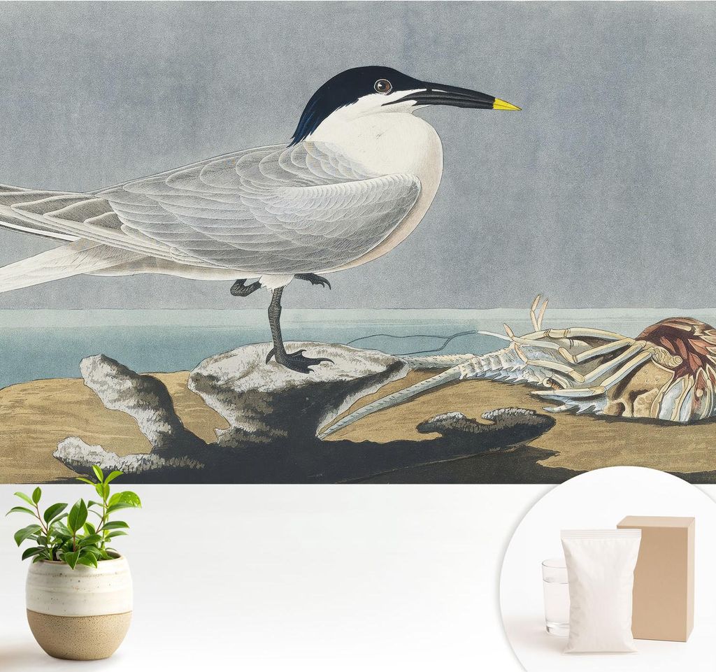 Fototapete - 104x70 cm - Tapete - Wandtapete - Wandbilder - Dekofolie - Tapete Folie - Wand - Dekoration - Wohnzimmer - Ornithologische Eleganz