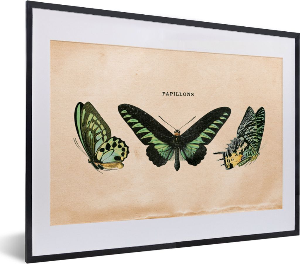 MuchoWow Gerahmtes Poster Schmetterling - Tier - Insekt 40x30 cm - Poster mit Schwarzem Bilderrahmen Wandposter Rahmen Foto Bilder - Bilderrahmen...