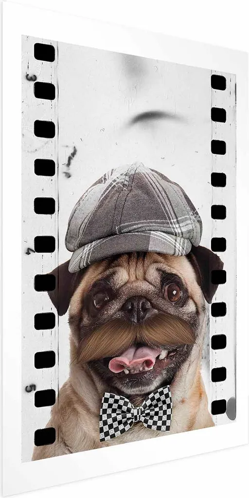 Stampa Carlino Divertente 60x90 - Poster Mops con Cappello per Amanti Cani