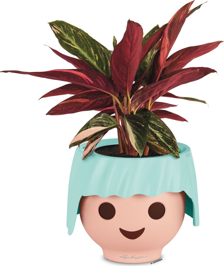 A plant in a decorative pot with a smiling face design.